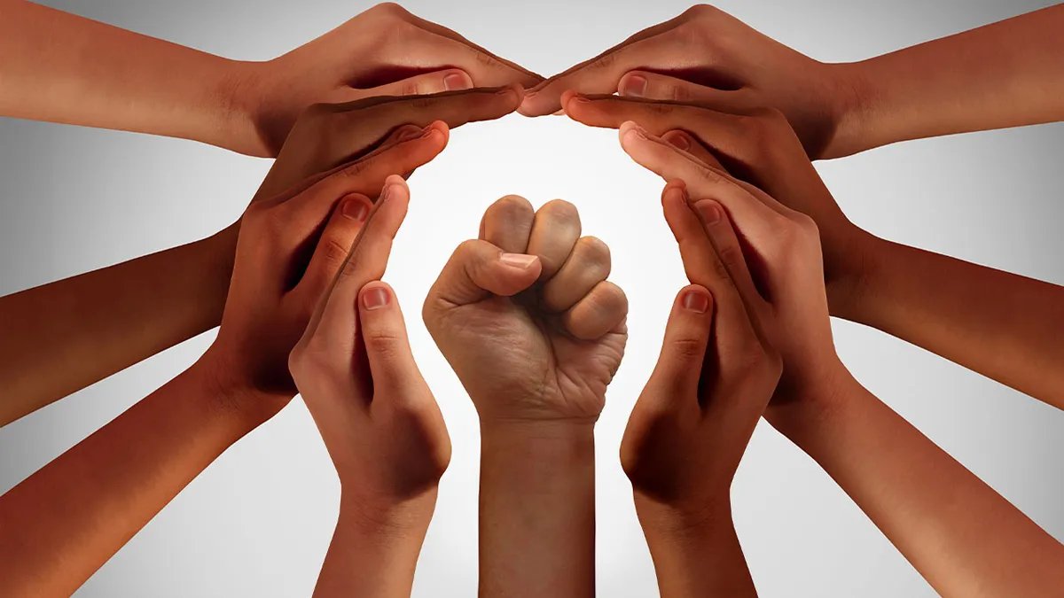 Human Rights Protection